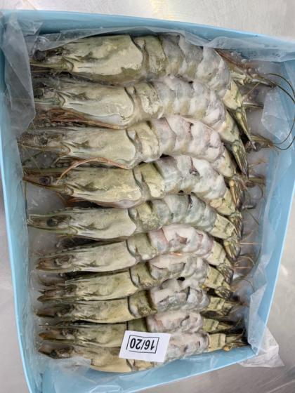 Bt P D Iqf Id Buy Bangladesh Shrimp Ec21