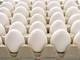 Wholesale healthy food: Fresh White Healthy Chicken Eggs