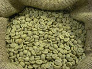 Wholesale good price: Kenya Robusta Green Coffee Beans