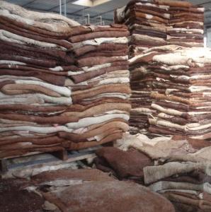 Wholesale cow skin: Sell Dry Donkey Hides Dry Salted Donkey Hides