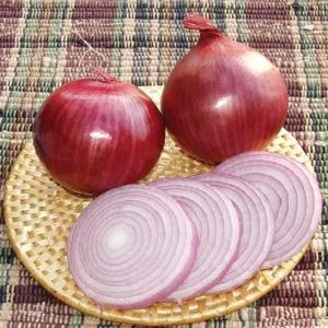 Wholesale all: Fresh Red Onion