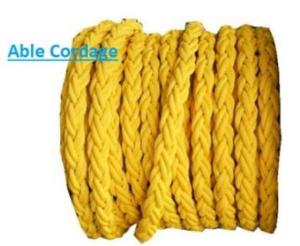 Wholesale Packaging Rope: PP 8 Strand Rope