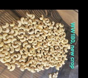 Wholesale Nuts & Kernels: Premium Cashew Kernel WW180, New Crop