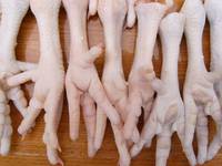 Frozen Chicken Feet, Paws, Legs and Other Parts