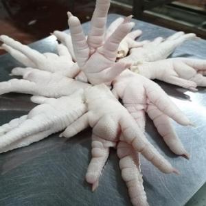 Wholesale Meat & Poultry: Frozen Chicken