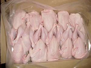 Wholesale business: Frozen Whole Chicken