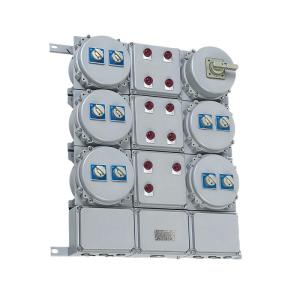 Wholesale Other Electrical Equipment: Explosion-proof Distribution Panel