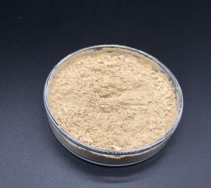 Wholesale Plant Extract: PROBC-123(Bacillus Coagulans)