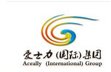 Aceally Company Logo