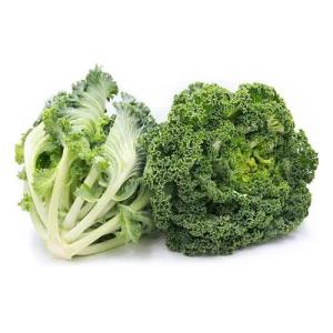 Wholesale fresh cabbage: Organic Kale Powder