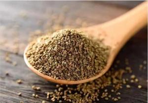 Wholesale herbal oil: Celery Seed Extract