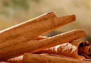 Wholesale Plant Extract: Cinnamon Bark Extract