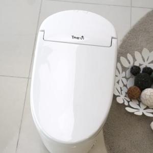 Wholesale electronics: Smart Toilet Automatic Toilet Intelligent Electronic Toilet Tankless WC Ceramic Toilet [ALB-14650]