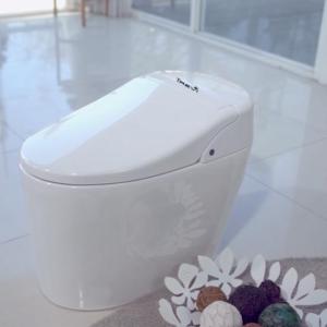 Wholesale sanitary toilet: Modern Bathroom Intelligent WC Toilets Automatic Flushing Smart Toilet Ceramic Bidet [ALB-R14600]