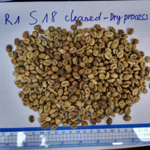 Wholesale export: VIETNAM ROBUSTA COFFEE GREEN BEANS S16/S18 Competive Price for Export
