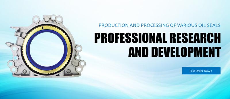 Jiangsu DOMT Sealing Technology Co., Ltd.