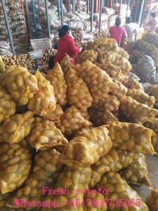 Wholesale Fresh Potatoes: Fresh Potato From China Hot Sale