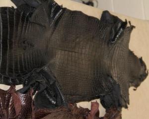 Wholesale synthetic leather: Alligator Skins