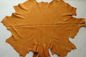 Wholesale leather: Ostrich Skins