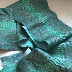Wholesale Genuine Leather: Python Skins