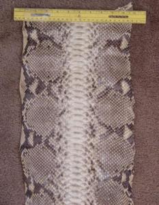 Wholesale snakeskin: Snake Skins