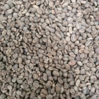 Coffee Bean of Arabica Mandhailing Grade 1