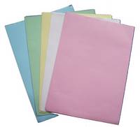 carbonless Paper 610*860mm in Sheet and Rol