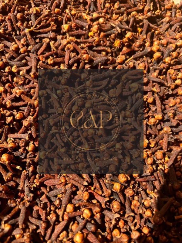 Pt Cahaya Aqilah Persada