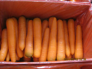 Wholesale kimchi: Carrot for Kimchi