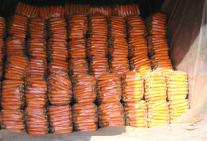 Wholesale new crop carrot: New Crop Fresh Carrot