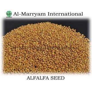 Sell Alfalfa Seed