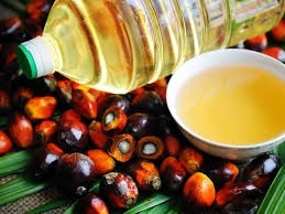 Wholesale cp8: Palm Oil