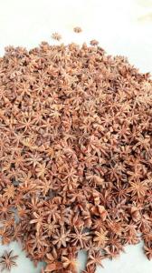 Wholesale price: Premium Quality Dried Whole Star Anise Spices Vietnam New Price 2021