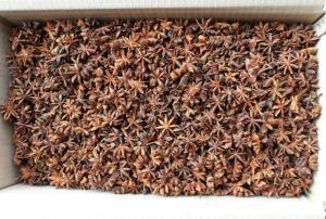 Wholesale spice: Standard Quality Dried Whole Star Anise Spices Vietnam New Price 2021