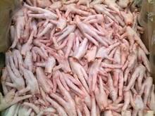 Wholesale Poultry & Livestock: Frozen Feet /  Halal Chicken Feet