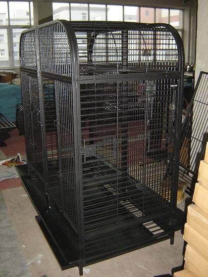 cockatoo parrot cage