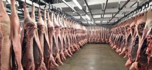 Wholesale Meat & Poultry: Pork