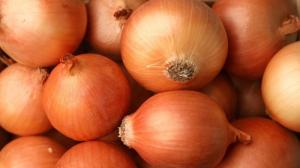 Wholesale kitchen: Fresh Onion