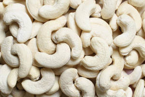 Wholesale cashew nut: Cashew