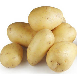 Wholesale fresh potatoes: Potatoes