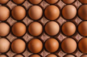 Wholesale bearing: Farm Fresh Organic Poultry Chicken White Shell Table Eggs | Halal Top Quality Packed Eggs