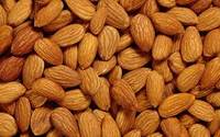 Almond Nuts, Apricot Kernels, Betel Nuts, Brazil Nuts, Canned Nuts, Cashew Nuts, Chestnuts
