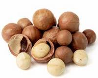 Macadamia Nuts,Pecans,Pili Nuts,Pine Nuts