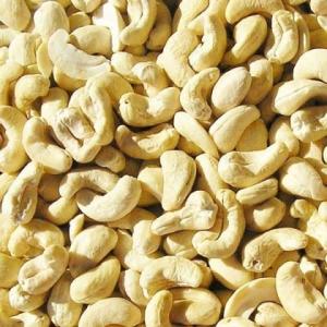 Wholesale wholesale nuts: Wholesale  Cashew Nuts (W240, W320, W450)