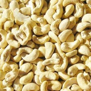 Wholesale w240: Wholesale  Cashew Nuts (W240, W320, W450)