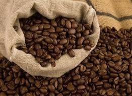 Wholesale coffee beans: Robusta Green Coffee Bean for Sale