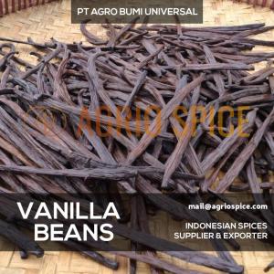 Wholesale carton boxes: Vanilla Beans - Vanilla Tahitensis Premium Indonesian Vanilla Pods