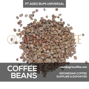 Wholesale indonesia supplier: Raw Coffee Beans - Arabica Bali Kintamani Indonesian Best Coffee Beans