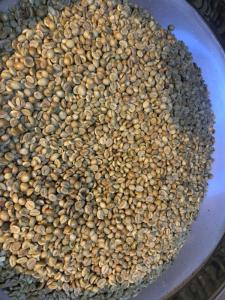 Wholesale arabica coffee beans: Arabica Java Ijen Grade 1 Green Coffee Beans