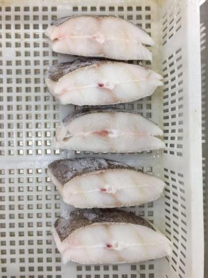 Sell  Greenland halibut steak (frozen 18C) seafood